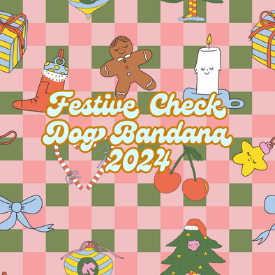 Festive Check Matching Dog Bandana