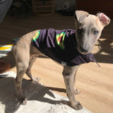 Black Avocado Dog Bandana