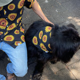 Sunflower Matching Dog Bandana