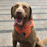 the Chargrill Charlie's Dog Bandana (matching)