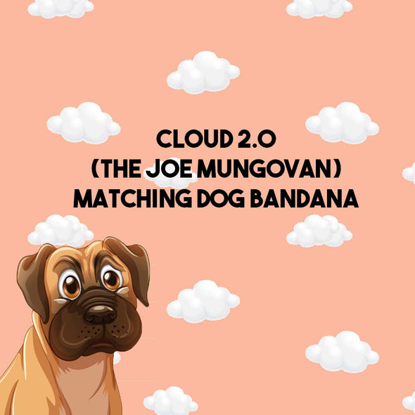 Cloud 2.0 Matching Dog Bandana