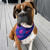 the Smack (Jelly Fish) matching Dog Bandana