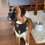 Mccaw Matching Dog Bandana