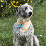 the Gum Nut (G-NUT) dog Bandana