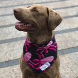 the Jones Jnr. Dog Bandana