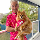 the Lightning Bolt matching Dog Bandana