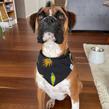 Mccaw Matching Dog Bandana