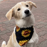 Sunflower Matching Dog Bandana